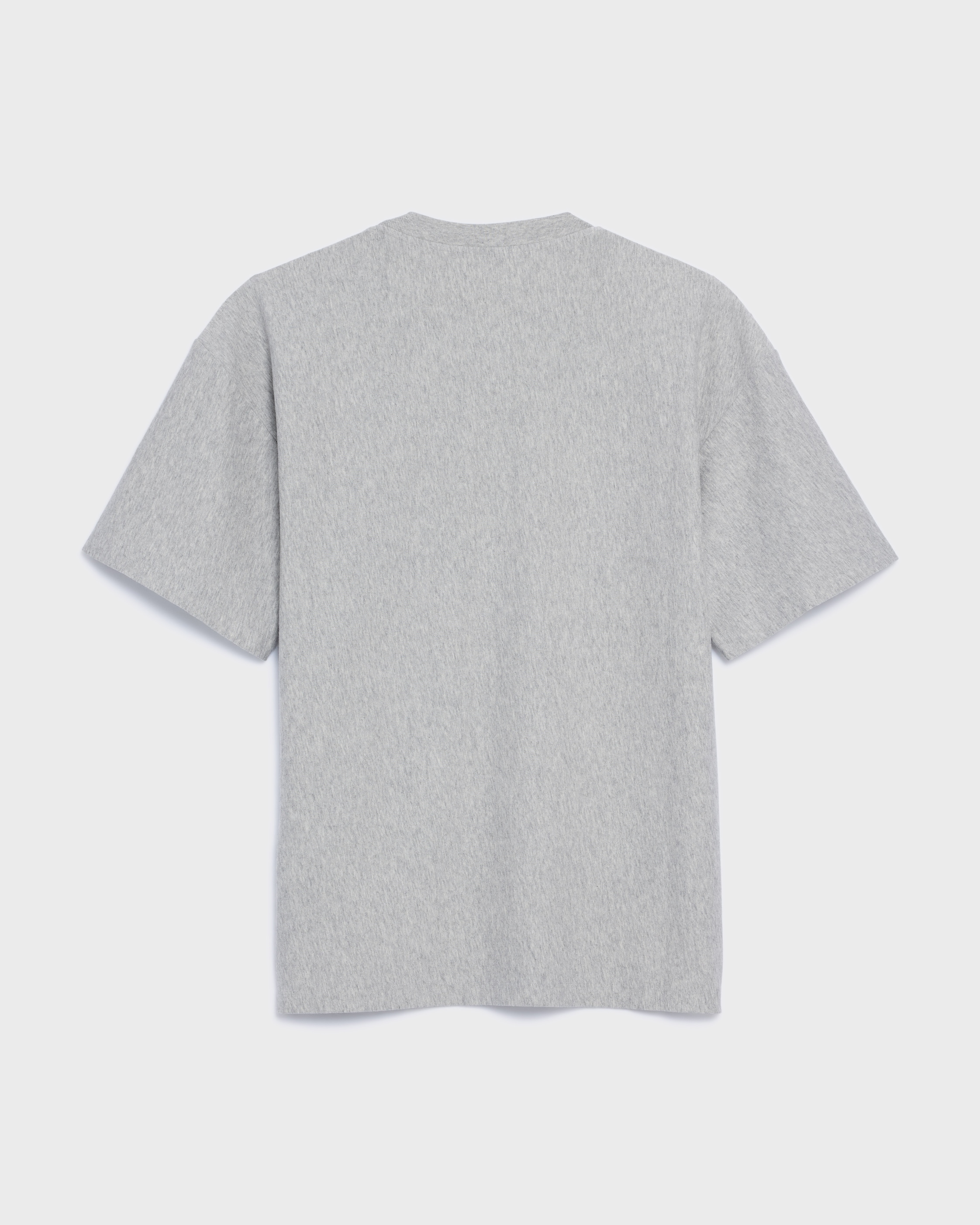 t-shirt IN cotton jersey - VINTAGE GREY MELANGE / BORDEA | CELINE