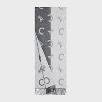 scarf IN BICOLOR CASHMERE WOOL - GREY / WHITE -  - 2 | CELINE