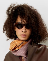 Triomphe 17 sunglasses in Acetate - CLASSIC HAVANA -  - 2 | CELINE