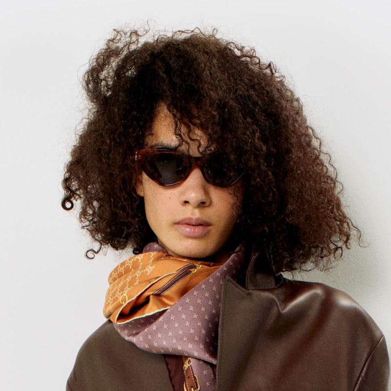 Triomphe 17 sunglasses in Acetate - CLASSIC HAVANA -  - 1 | CELINE