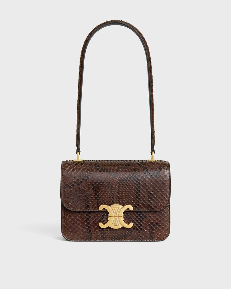 TEEN GARANCE bag IN Python - HICKORY | CELINE
