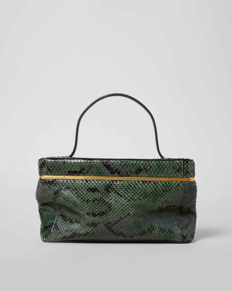 กระเป๋าทรงสี่เหลี่ยมผืนผ้าทำจากหนังงู - สีไพน์ - สินค้าใหม่ - 1 | CELINE