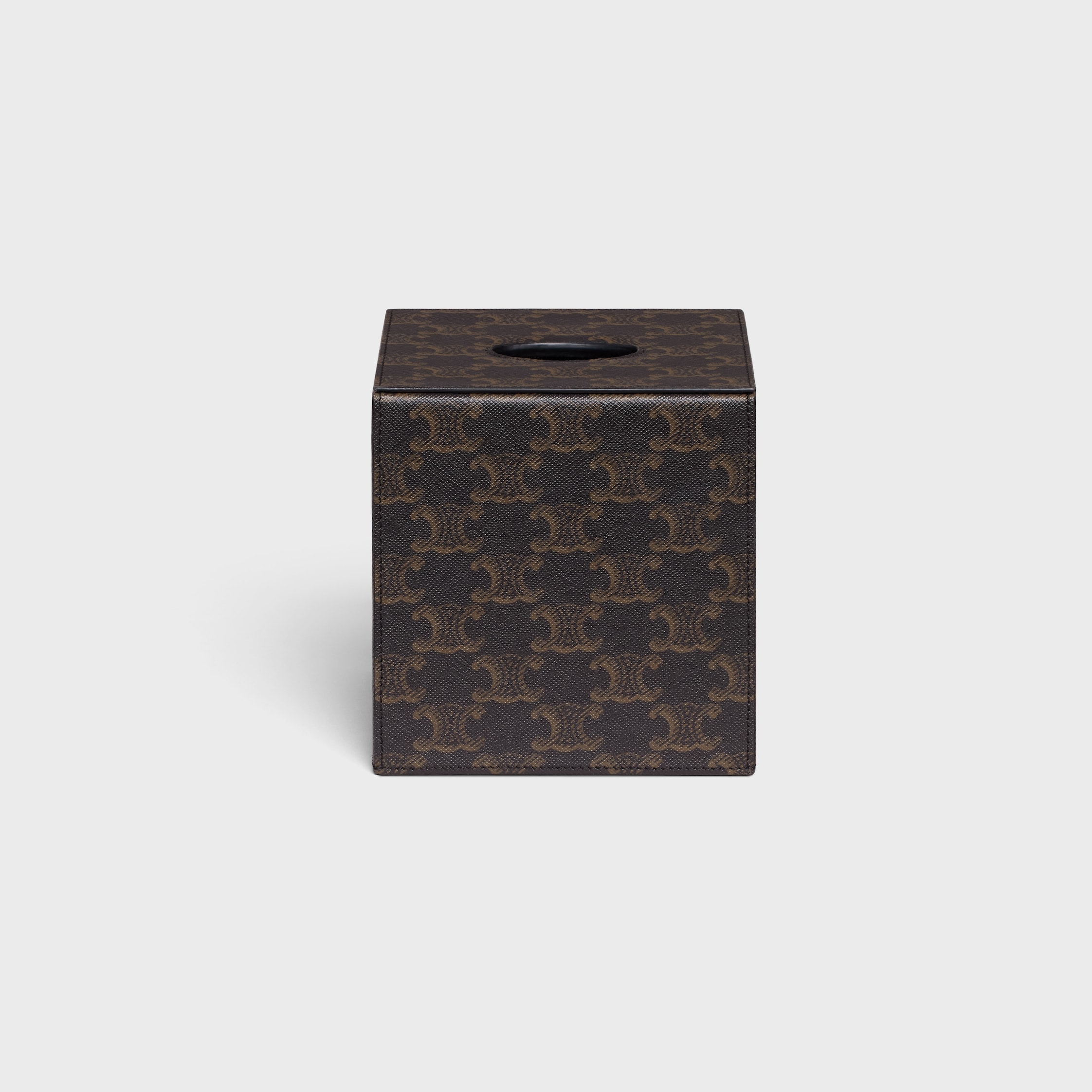 CELINE Tissue Cube in Triomphe Canvas