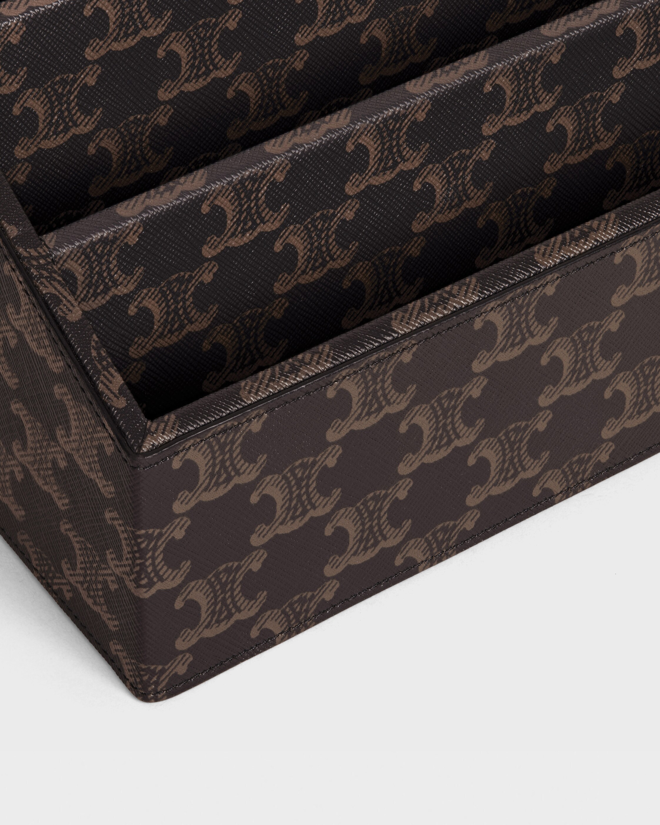 stationery organizer in triomphe canvas - BLACK / TAN | CELINE