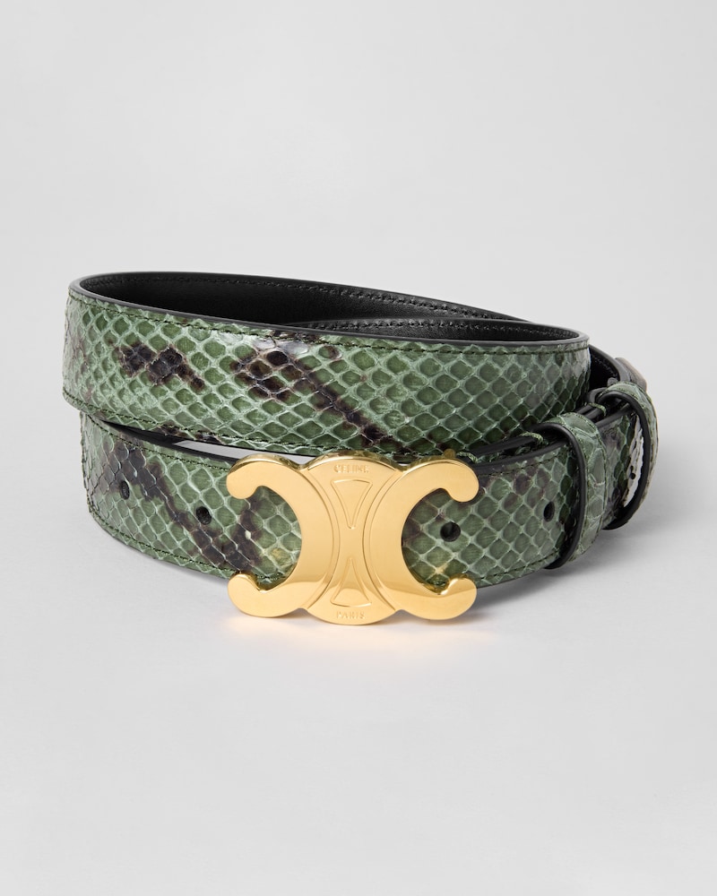 Triomphe Belt 25MM  IN PYTHON - PINE -  - 1 | CELINE