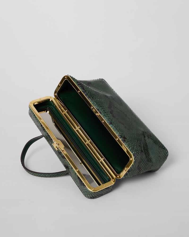 กระเป๋าทรงสี่เหลี่ยมผืนผ้าทำจากหนังงู - สีไพน์ - สินค้าใหม่ - 1 | CELINE