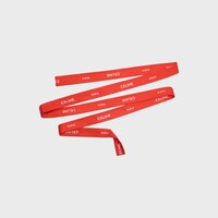 lavalliere IN CELINE PARIS SILK TWILL - RED/WHITE -  - 2 | CELINE