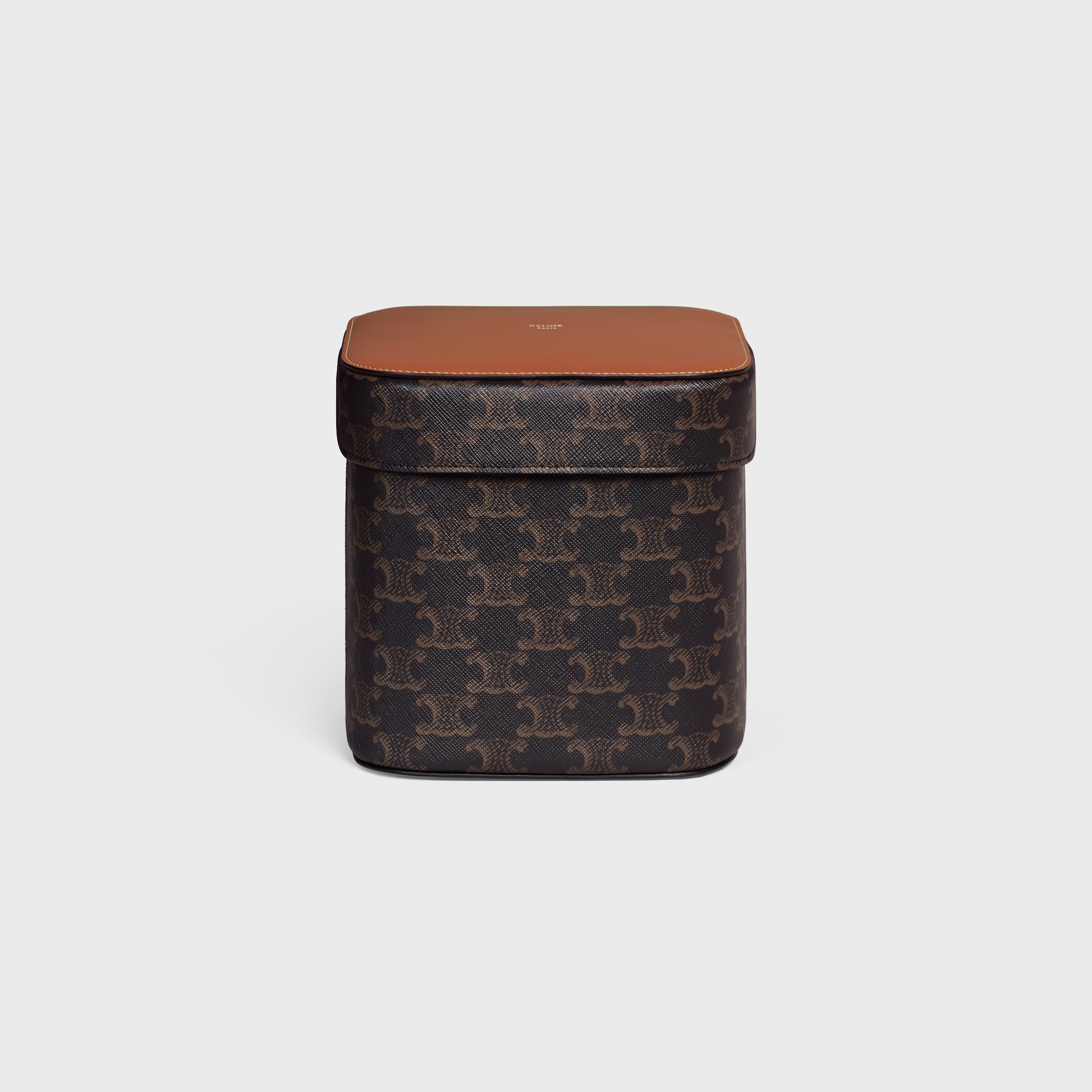 LARGE BOX IN TRIOMPHE CANVAS AND CALFSKIN - TAN | CELINE
