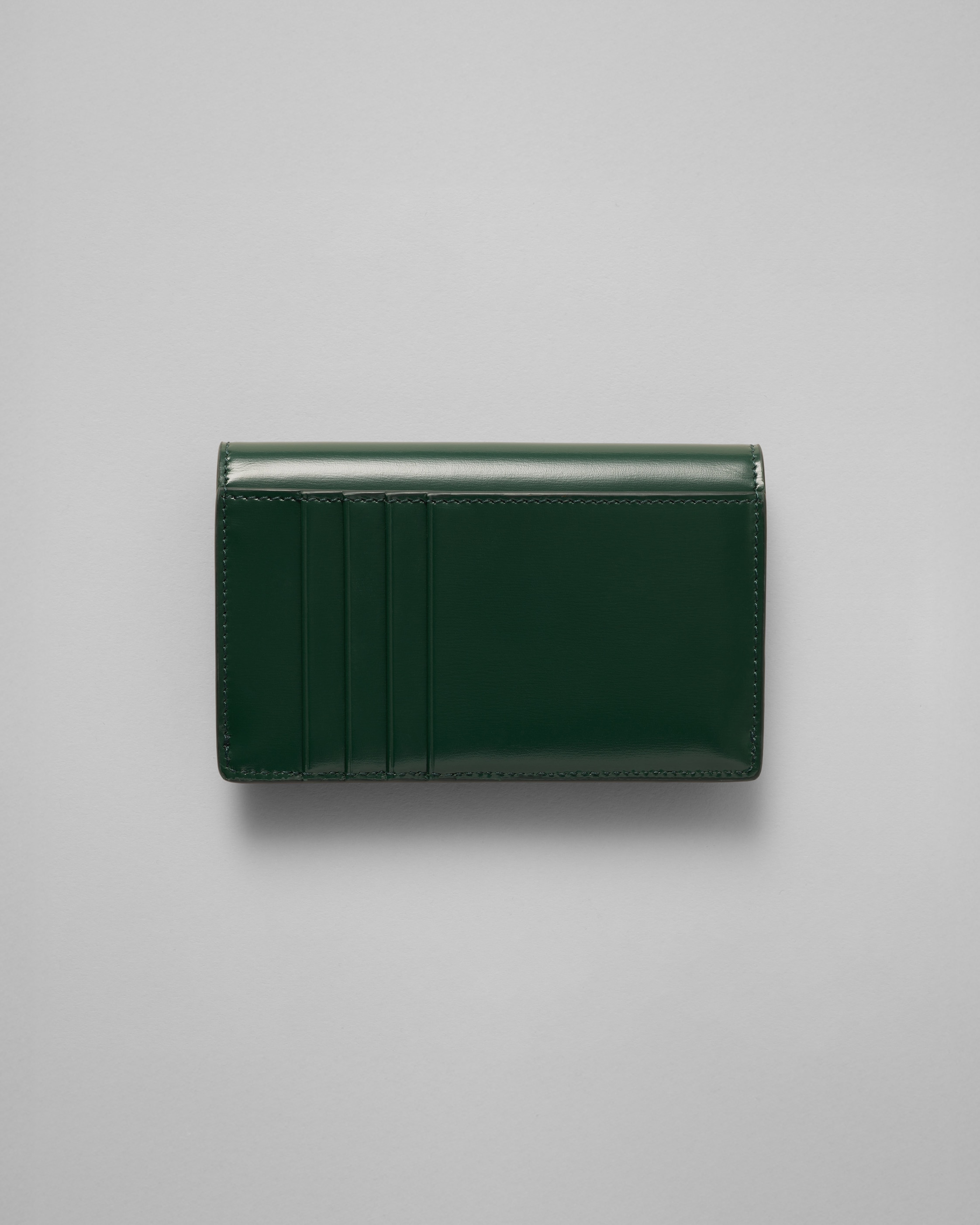 カードケース レディース - グリーン | CELINE | セリーヌ公式サイト