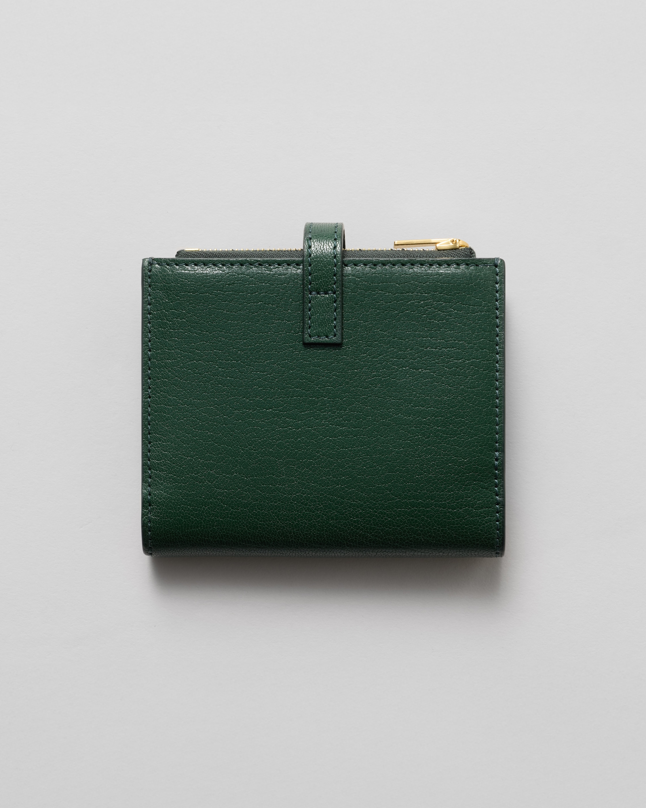 DESIGNER SMALL LEATHER GOODS FOR WOMEN | CELINE