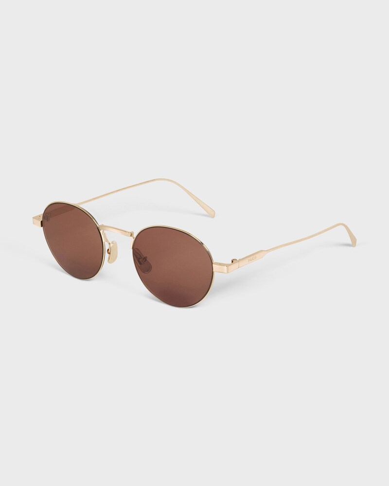 Roundup sunglasses in Brown - Light Gold / Brown -  - 1 | CELINE
