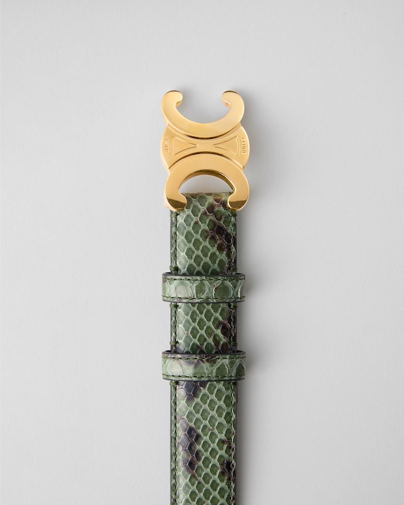 Triomphe Belt 25MM  IN PYTHON - PINE -  - 1 | CELINE