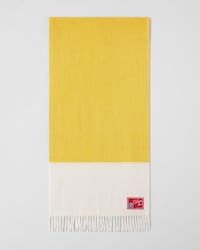 BICOLOR CASHMERE SCARF - JAUNE/BLANC -  - 1 | CELINE