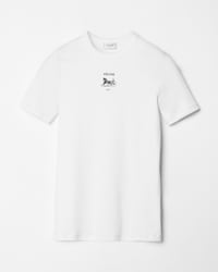 T-SHIRT IN ribbed cotton jersey - OPTIC WHITE / BLACK -  - 1 | CELINE