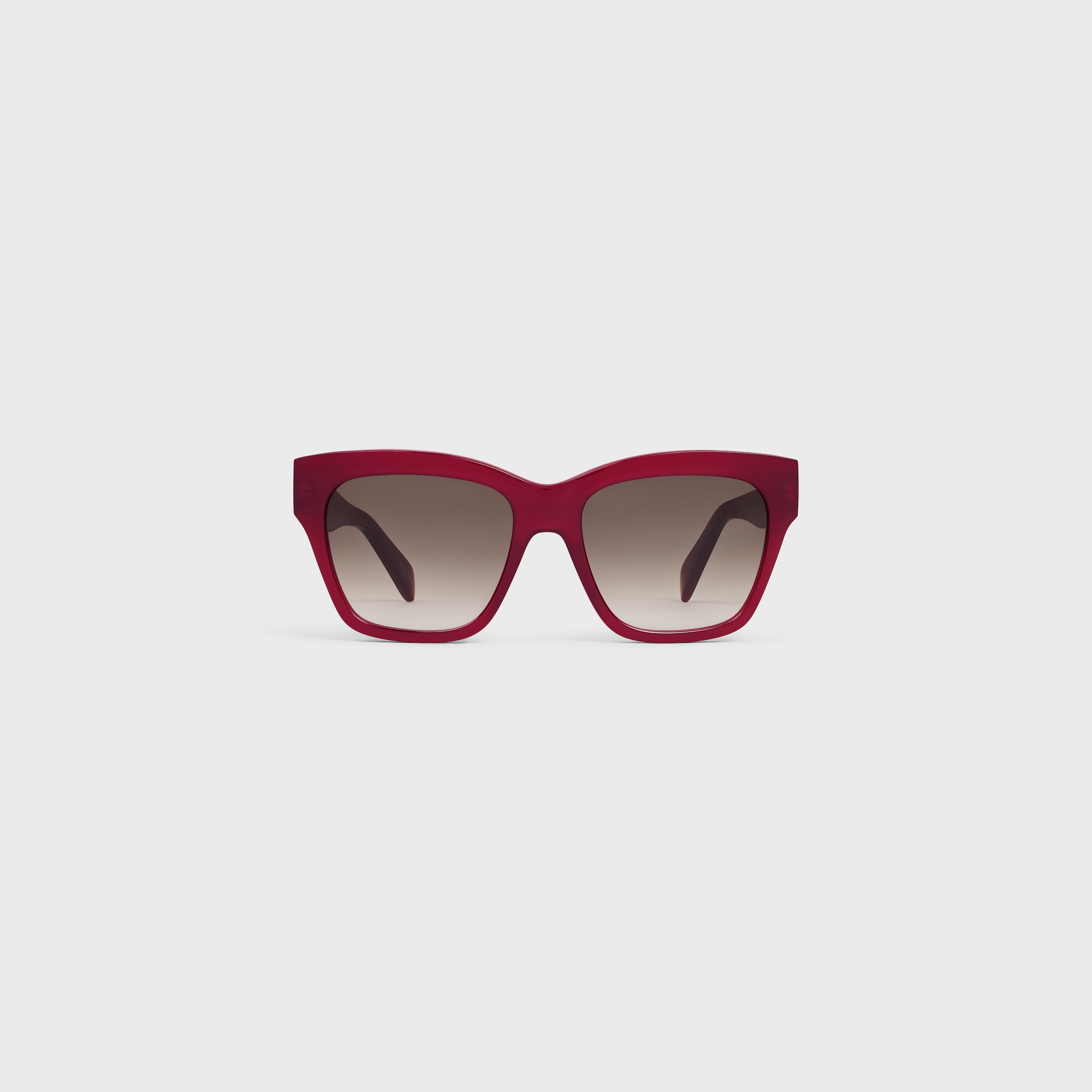 CELINE Triomphe 09 Sunglasses in Acetate