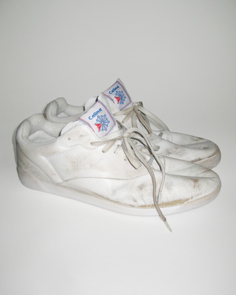 ALLDAYEVERYDAY FREESTYLE LO BY CELINE/REEBOK - OPTIC WHITE -  - 1 | CELINE
