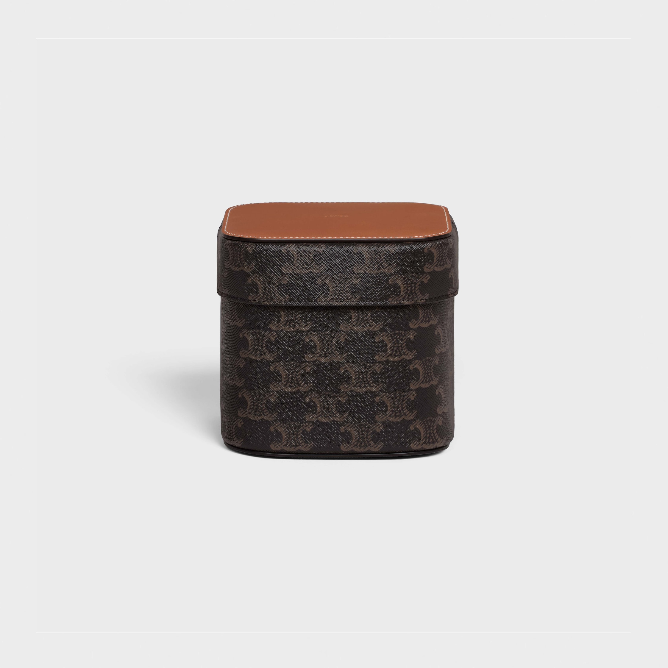 Medium Box in Triomphe Canvas and Calfskin - TAN | CELINE