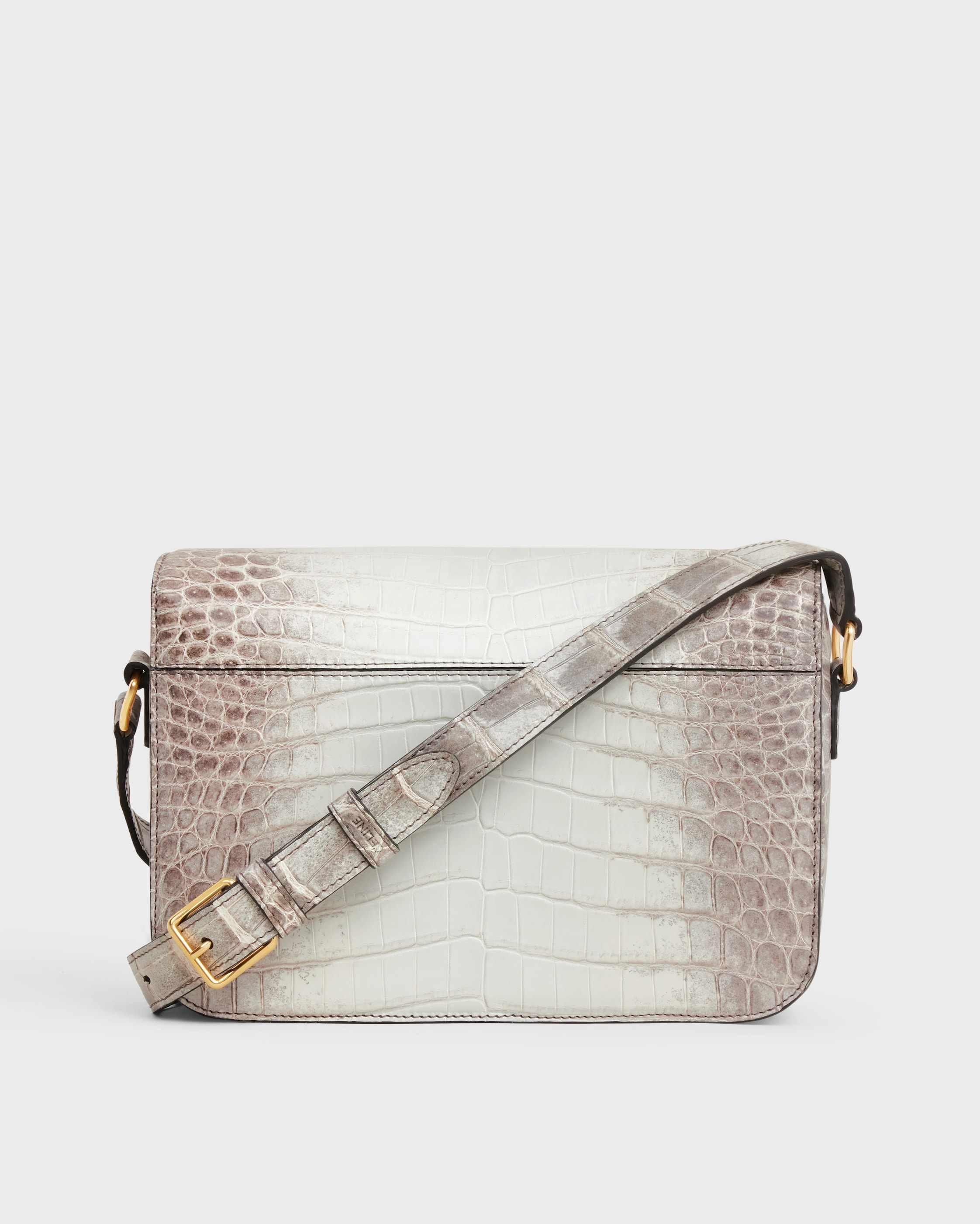 CLASSIQUE TRIOMPHE BAG in Niloticus Crocodile - NATURAL | CELINE