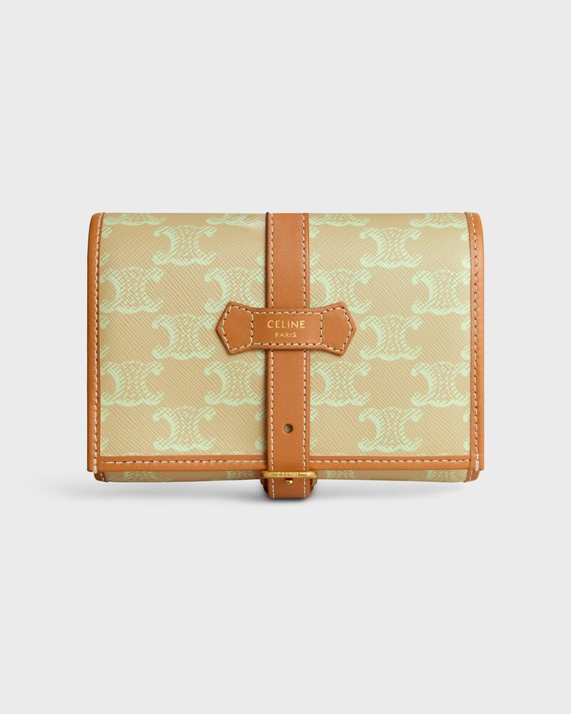 JEWELRY POUCH IN TRIOMPHE CANVAS AND CALFSKIN - SANDCASTLE / SOFT LIME - POUCHES - 1 | CELINE