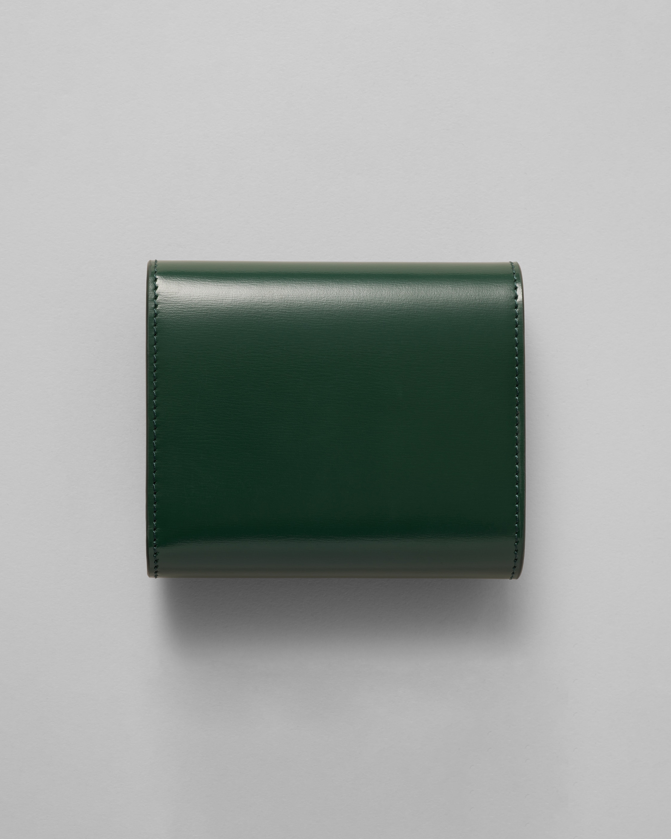 SMALL FLAP WALLET TRIOMPHE IN SHINY CALFSKIN - PINE | CELINE