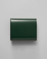 Small Flap Wallet TRIOMPHE IN Shiny calfskin - PINE - WALLETS - 2 | CELINE