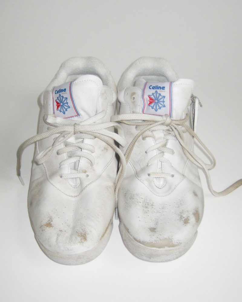 ALLDAYEVERYDAY FREESTYLE LO BY CELINE/REEBOK - OPTIC WHITE -  - 1 | CELINE