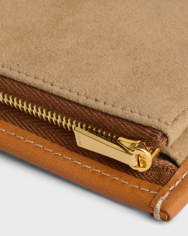 JEWELRY POUCH IN TRIOMPHE CANVAS AND CALFSKIN - SANDCASTLE / SOFT LIME - POUCHES - 1 | CELINE