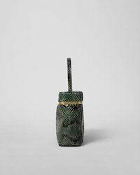 RECTANGLE IN PYTHON - PINE - EVENING - 2 | CELINE