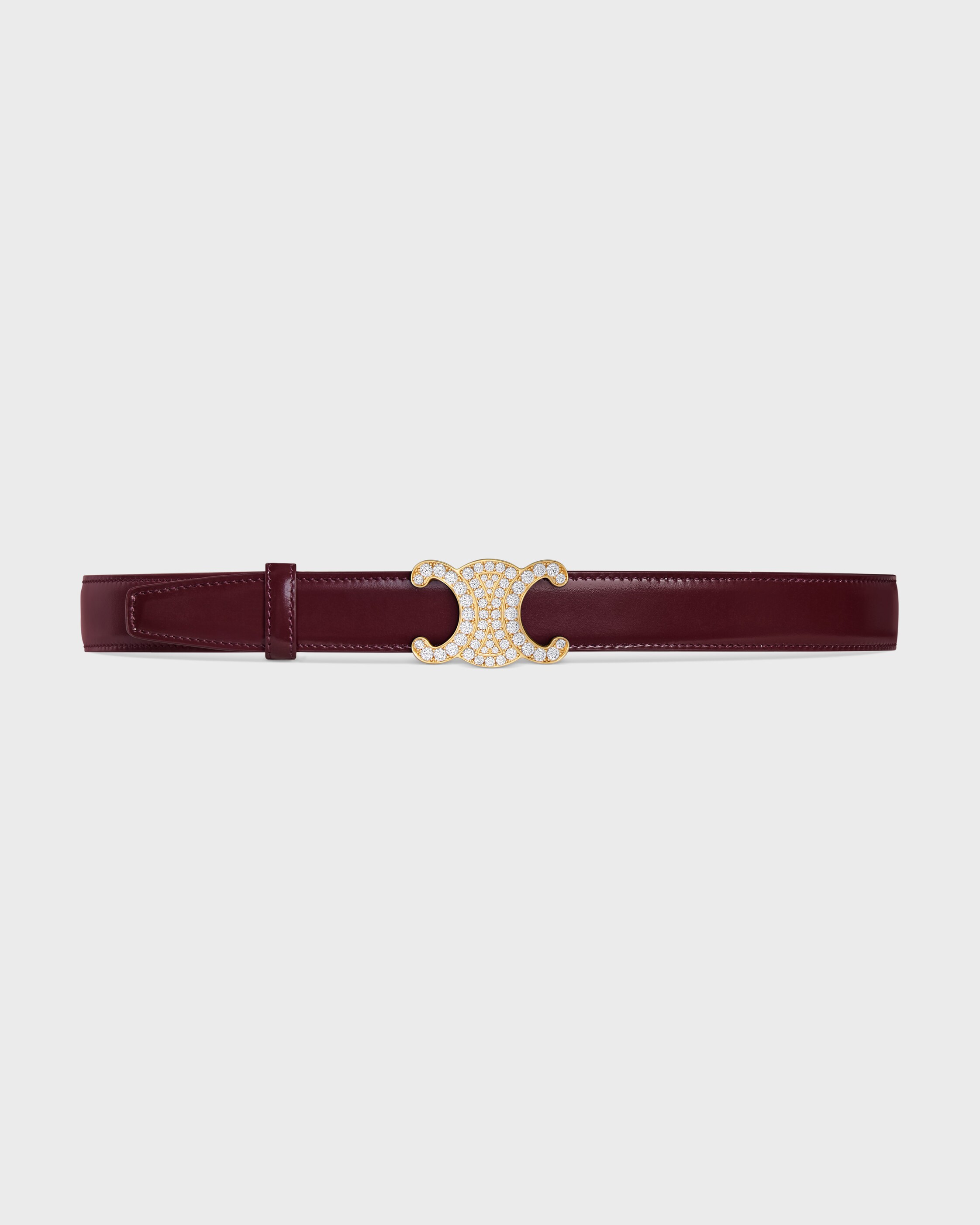 TRIOMPHE BUCKLE & REVERSIBLE STRAP 25MM - DEEP BURGUNDY / BLEACHED