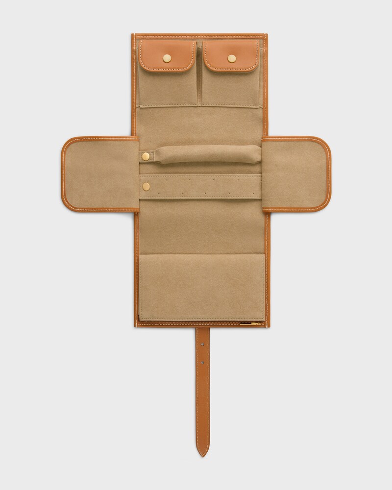 JEWELRY POUCH IN TRIOMPHE CANVAS AND CALFSKIN - SANDCASTLE / SOFT LIME - POUCHES - 1 | CELINE