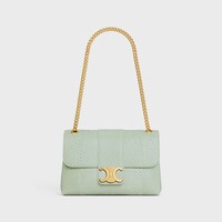 Medium Celine Victoire Bag in PYTHON - Light Clay - GIFT FINDER - 1 | CELINE