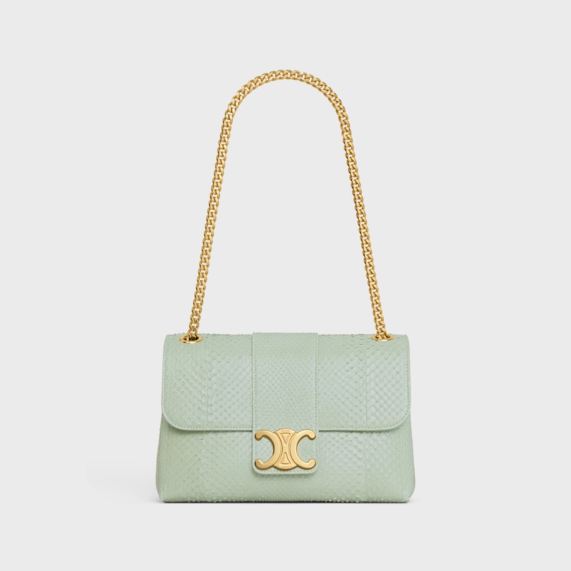 Medium Celine Victoire Bag in PYTHON - LIGHT CLAY - MORE LINES - 1 | CELINE