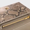Medium Celine Victoire Bag IN pearly python - NATURAL - MORE LINES - 4 | CELINE