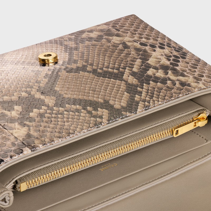 Medium Celine Victoire Bag IN pearly python - NATURAL - MORE LINES - 1 | CELINE