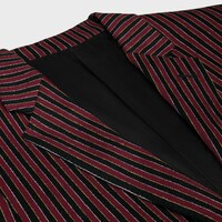 carnaby jacket in striped wool - RED/ BLACK -  - 1 | CELINE