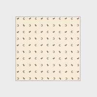 square IN silk twill - VANILLA / BLACK -  - 1 | CELINE