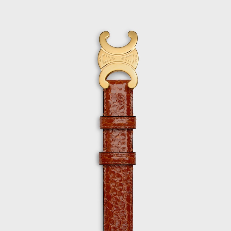Triomphe Belt 25MM in PYTHON - TAN -  - 1 | CELINE