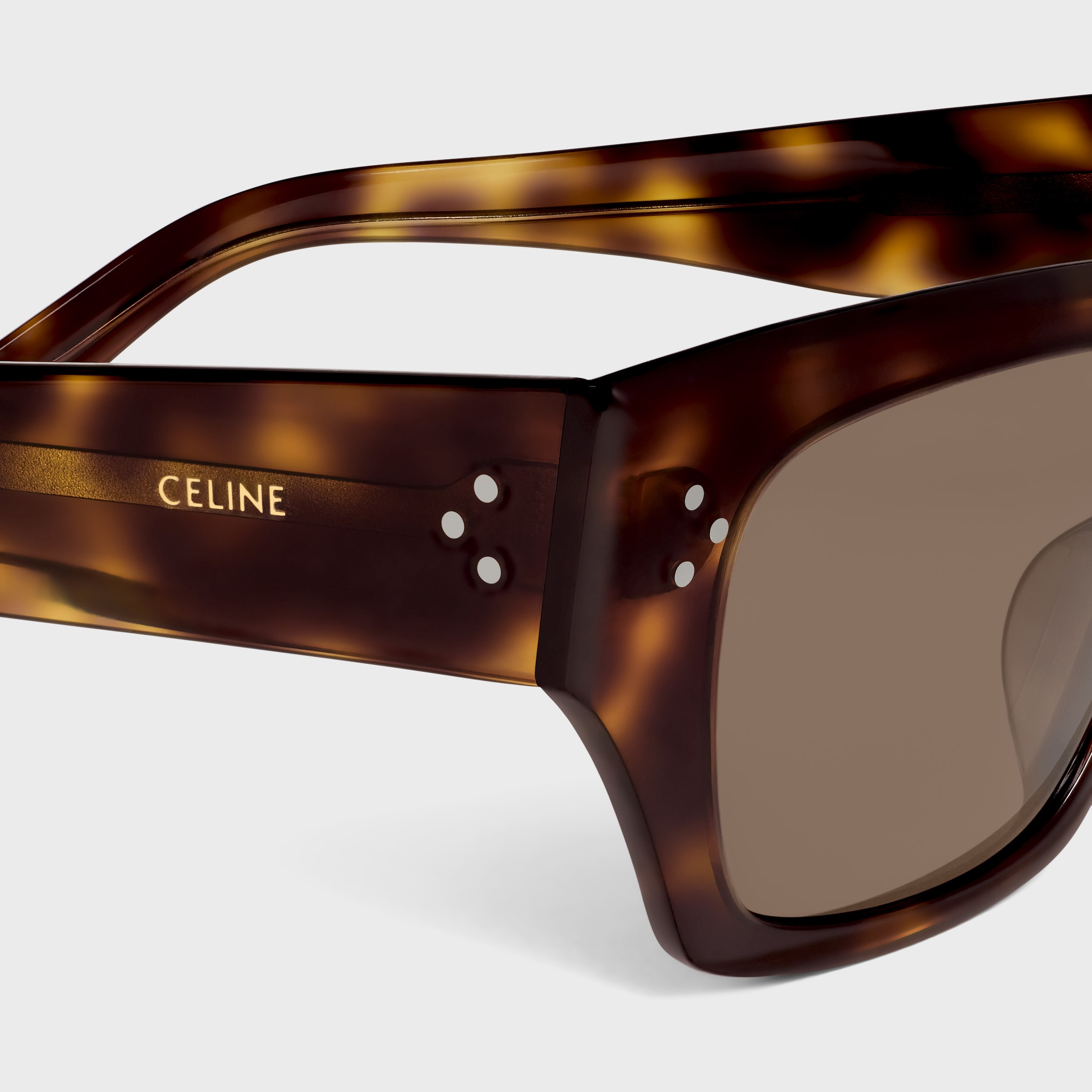 Black Frame 55 Sunglasses in Acetate - CARAMEL HAVANA | CELINE