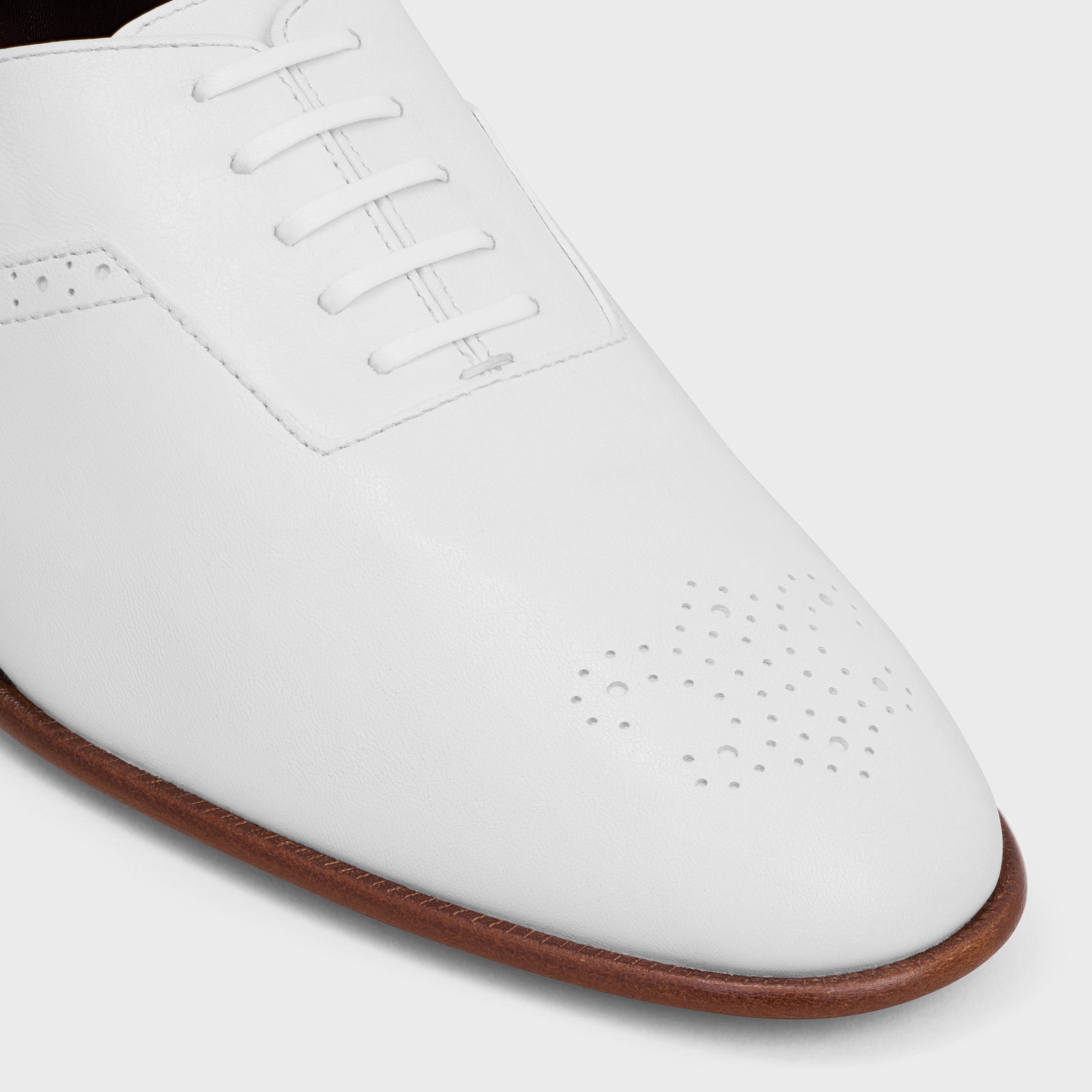 CELINE ソックス　3roku CELINE ソックス 3roku CELINE JOGGER LOW LACE-UP SNEAKER in