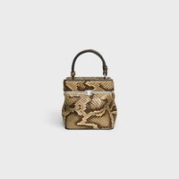 SMALL TRIOMPHE FRAME IN PYTHON - MIEL - TOP-HANDLE BAGS - 1 | CELINE